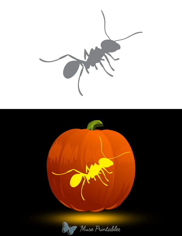 Realistic Ant Pumpkin Stencil