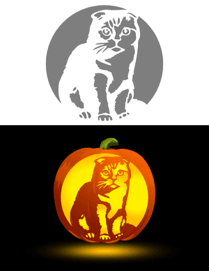 Scottish Fold Cat Pumpkin Stencil