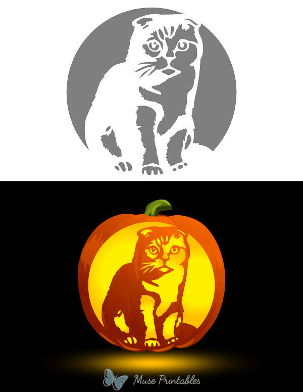 Scottish Fold Cat Pumpkin Stencil