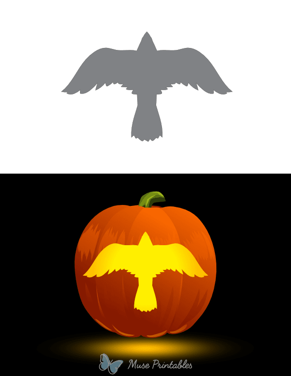 Simple Eagle Top View Pumpkin Stencil