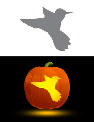 Simple Hummingbird Pumpkin Stencil