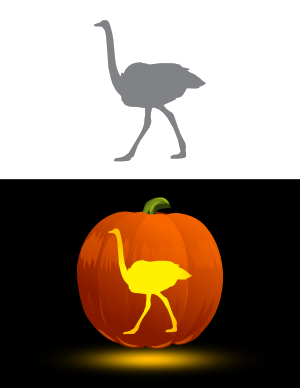 Simple Ostrich Side View Pumpkin Stencil