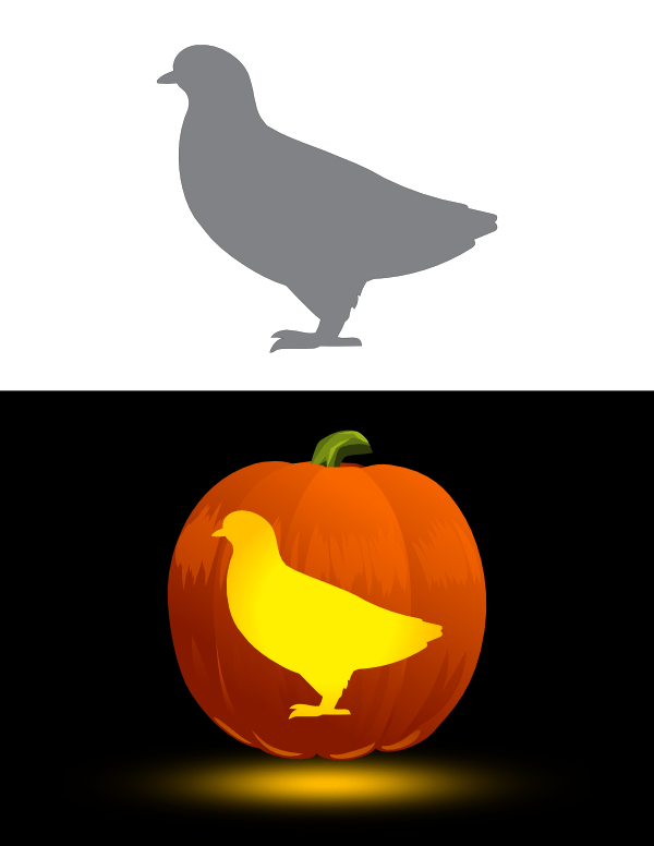 Simple Pigeon Pumpkin Stencil