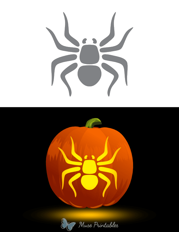 Spider Outline Pumpkin Stencil