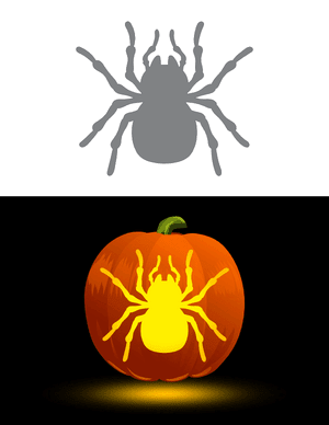 Spider Overhead View Pumpkin Stencil