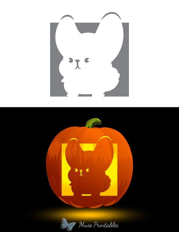 Very Cute Chinchilla Pumpkin Stencil