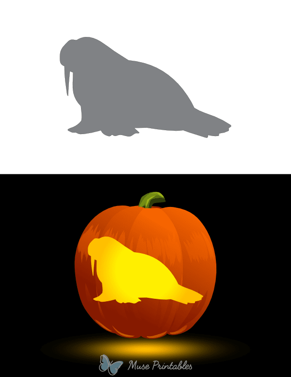 Walrus Outline Pumpkin Stencil