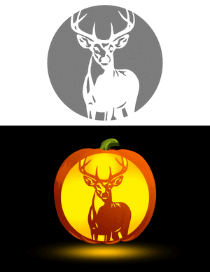 Whitetail Deer Pumpkin Stencil