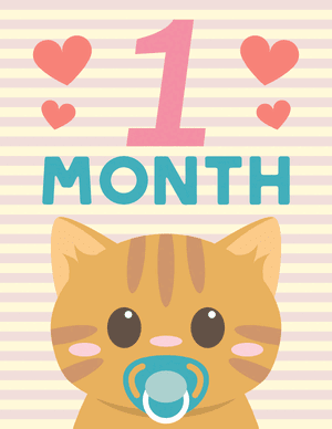 1 Month Old Animal Baby Milestone Sign