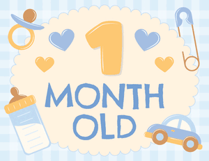 1 Month Old Baby Boy Milestone Sign