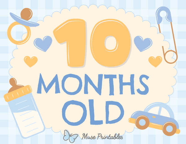 10 Months Old Baby Boy Milestone Sign
