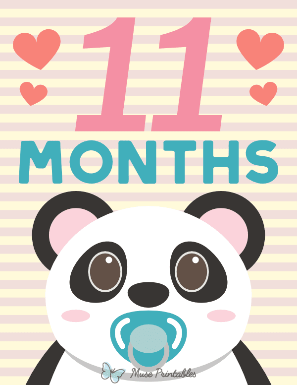 11 Months Old Animal Baby Milestone Sign