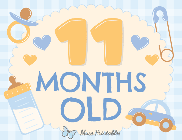 11 Months Old Baby Boy Milestone Sign