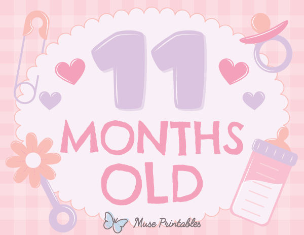 11 Months Old Baby Girl Milestone Sign