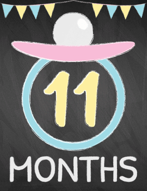 11 Months Old Chalkboard Baby Milestone Sign