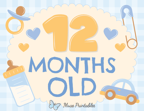 12 Months Old Baby Boy Milestone Sign