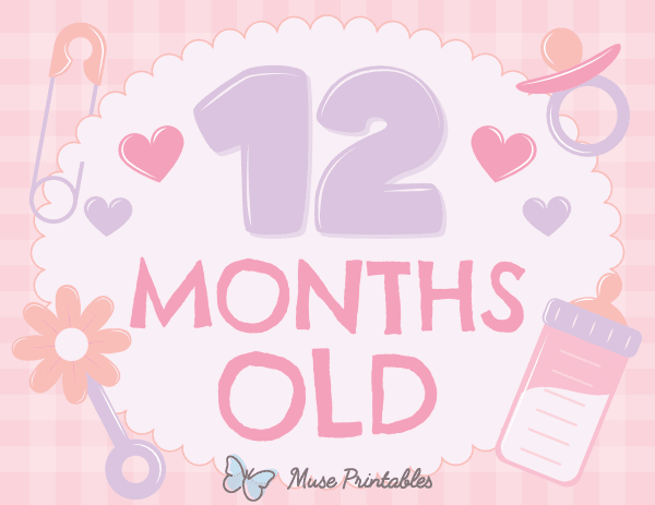12 Months Old Baby Girl Milestone Sign