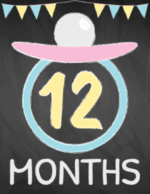 12 Months Old Chalkboard Baby Milestone Sign