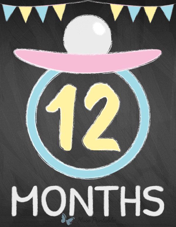 12 Months Old Chalkboard Baby Milestone Sign