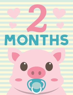 2 Months Old Animal Baby Milestone Sign
