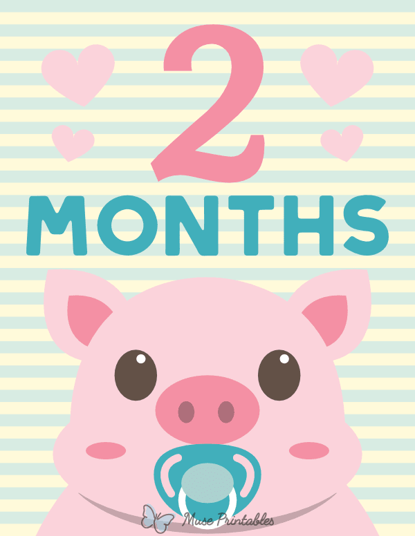 2 Months Old Animal Baby Milestone Sign