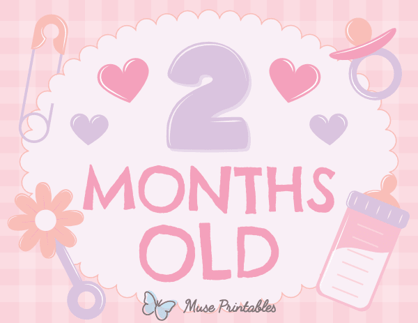 2 Months Old Baby Girl Milestone Sign