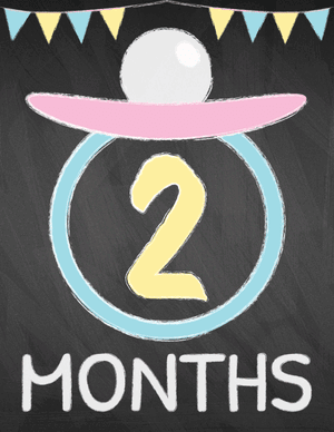 2 Months Old Chalkboard Baby Milestone Sign
