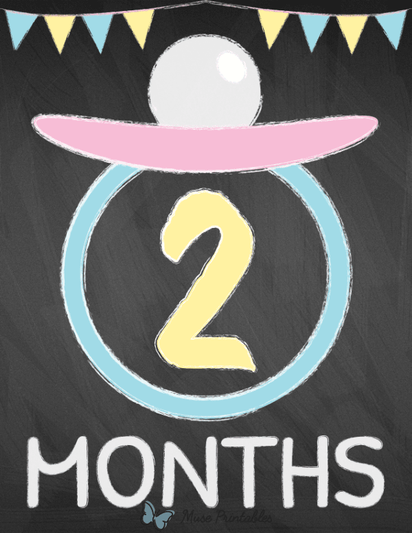2 Months Old Chalkboard Baby Milestone Sign