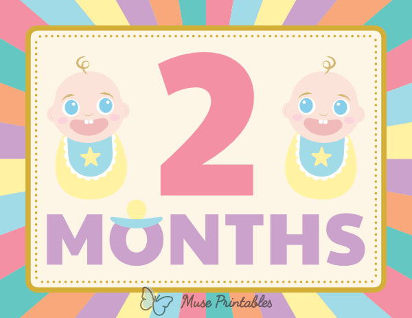 2 Months Old Colorful Baby Milestone Sign
