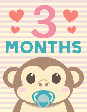 3 Months Old Animal Baby Milestone Sign