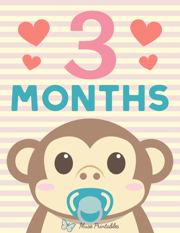 3 Months Old Animal Baby Milestone Sign