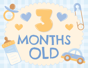 3 Months Old Baby Boy Milestone Sign