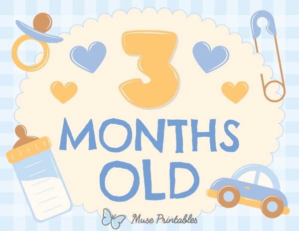 3 Months Old Baby Boy Milestone Sign