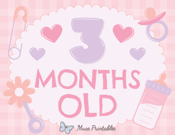 3 Months Old Baby Girl Milestone Sign