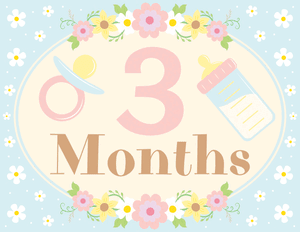 3 Months Old Floral Baby Milestone Sign