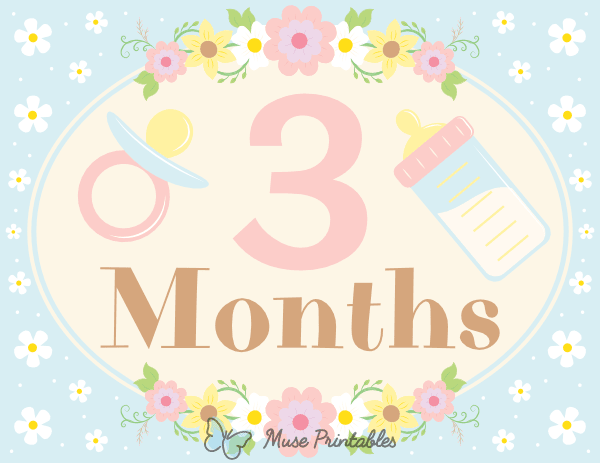 3 Months Old Floral Baby Milestone Sign