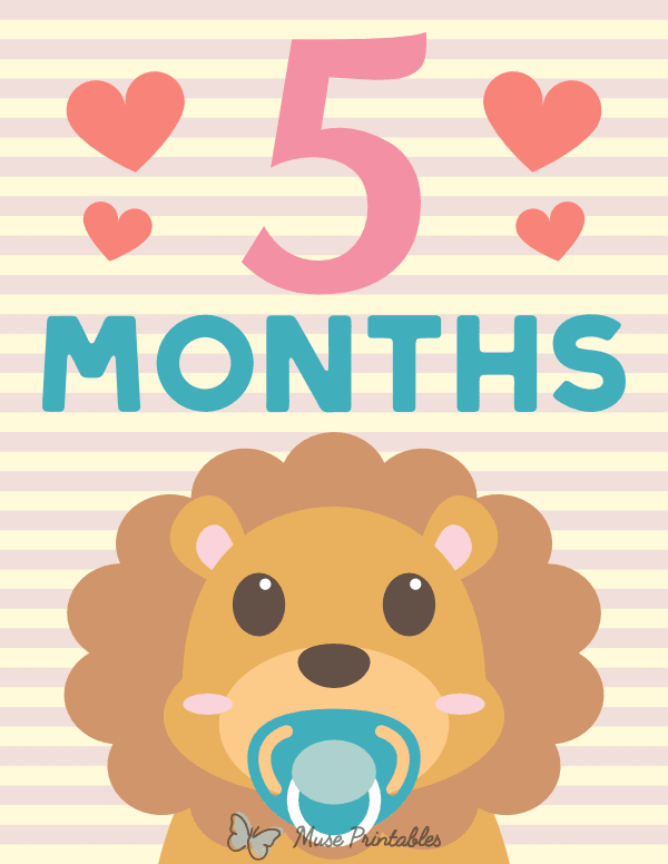 5 Months Old Animal Baby Milestone Sign