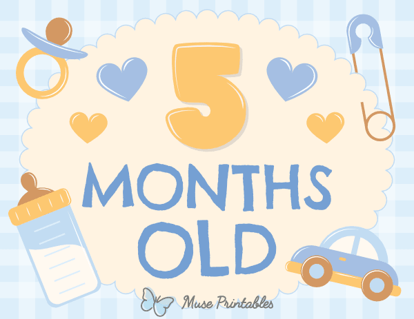 5 Months Old Baby Boy Milestone Sign