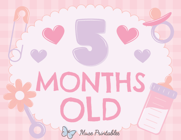5 Months Old Baby Girl Milestone Sign