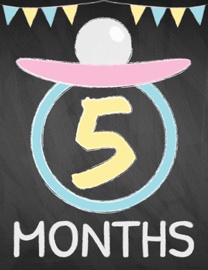 5 Months Old Chalkboard Baby Milestone Sign