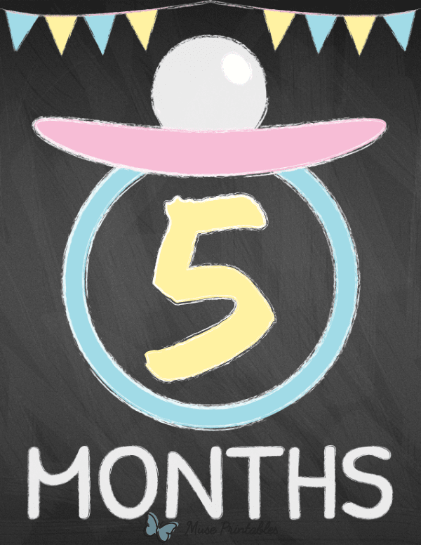 5 Months Old Chalkboard Baby Milestone Sign