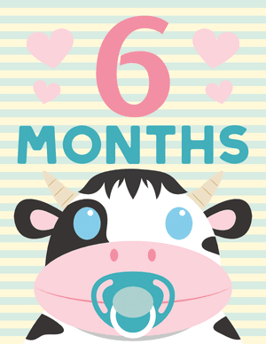 6 Months Old Animal Baby Milestone Sign