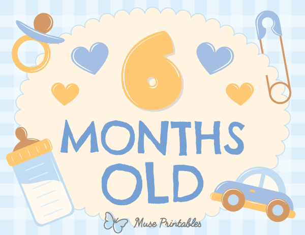 6 Months Old Baby Boy Milestone Sign