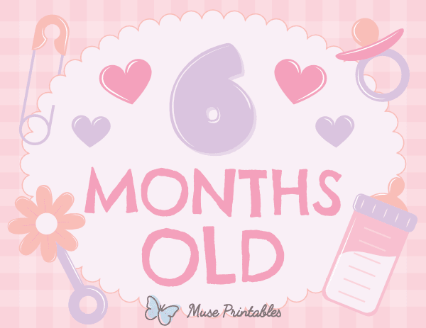 6 Months Old Baby Girl Milestone Sign