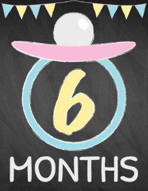 6 Months Old Chalkboard Baby Milestone Sign