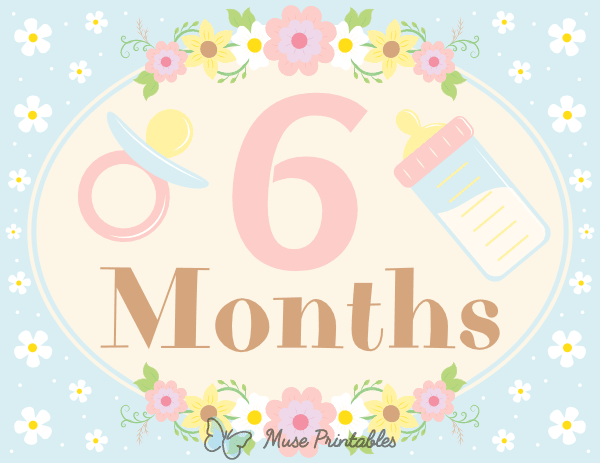 6 Months Old Floral Baby Milestone Sign