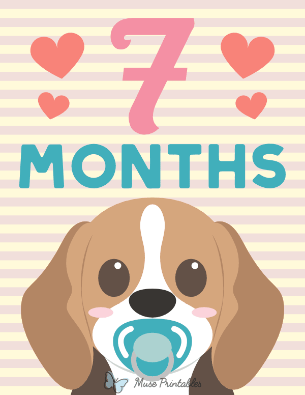 7 Months Old Animal Baby Milestone Sign