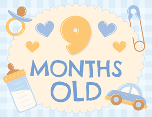 9 Months Old Baby Boy Milestone Sign