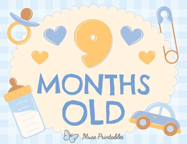 9 Months Old Baby Boy Milestone Sign