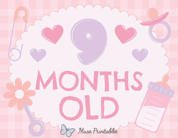 9 Months Old Baby Girl Milestone Sign